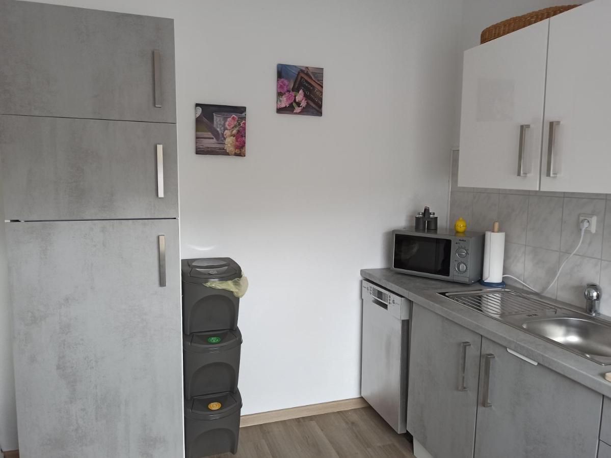 Ferienwohnung Loewenzahn 巴特哈尔茨堡 外观 照片