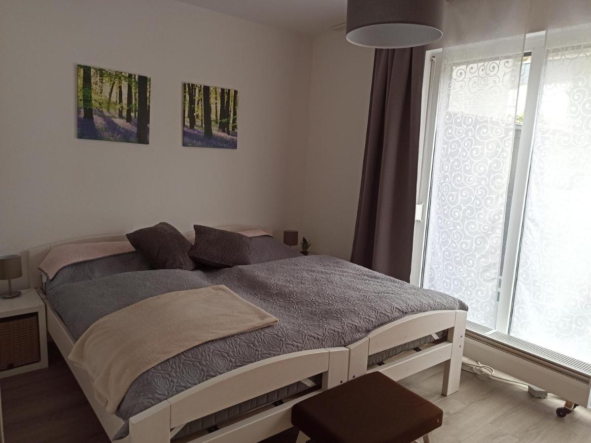 Ferienwohnung Loewenzahn 巴特哈尔茨堡 外观 照片